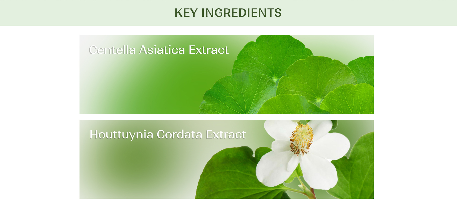 Yoon Skin Cica Facial Foam 150ml (Exp - 2027.07.18)