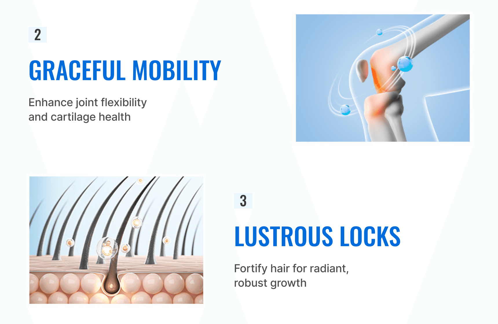 BB LAB The Pure Collagen (Exp-19.10.2028)